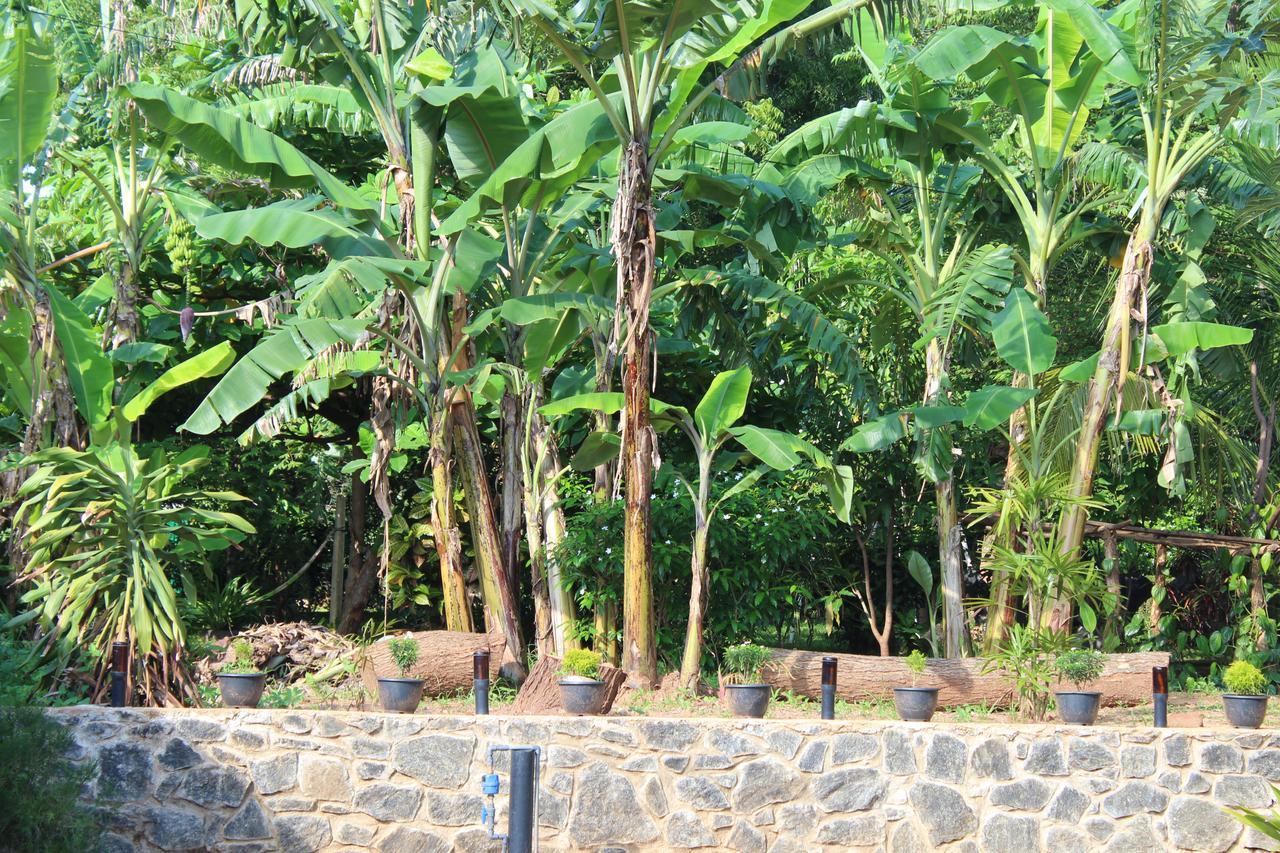 Walawa Family Villa Udawalawe Exterior foto